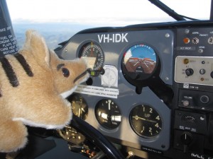 Bernard Bandicoot heading due East at 3500 feet Bernard Bandicoot heading due East at 3500 feet s